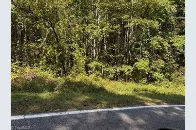 5 Arlie Myers Store Road #5, McGrady, NC 28649 - Photo 5
