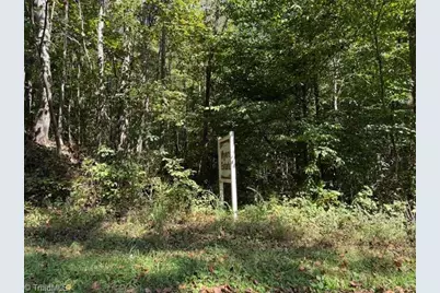 5 Arlie Myers Store Road #5, McGrady, NC 28649 - Photo 1