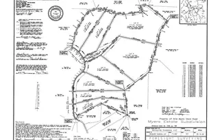 1 Arlie Myers Store Rd, McGrady, NC 28649 - Photo 1