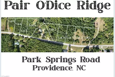 Lot 4 Park Springs Road, Providence, NC 27315 - Photo 7