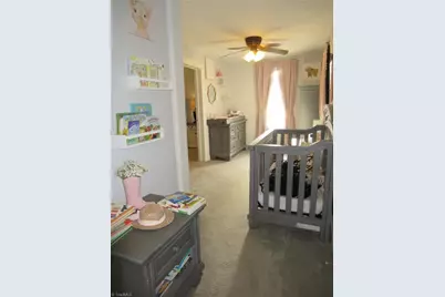 56 Bonlee School Road, Bear Creek, NC 27207 - Photo 13