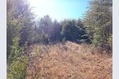 Xx- 17.5 Acres+- Nc Highway 268, Pinnacle, NC 27043 - Photo 1