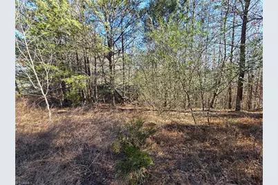 Xx- 17.5 Acres+- Nc Highway 268, Pinnacle, NC 27043 - Photo 5