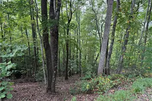 000 Price Rd, Moravian Falls, NC 28654 - Photo 1