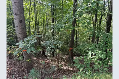 000 Price Road, Moravian Falls, NC 28654 - Photo 3
