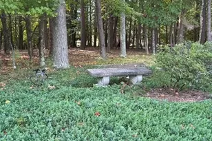 160 Belews Field Rd, Stokesdale, NC 27357 - Photo 41