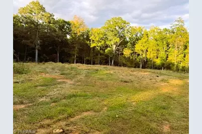 0000 Thayer Road, Trinity, NC 27370 - Photo 3