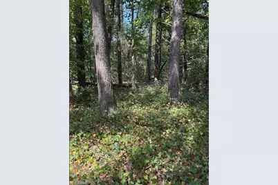 Lot 3 Ruff Hollar Drive, East Bend, NC 27018 - Photo 11