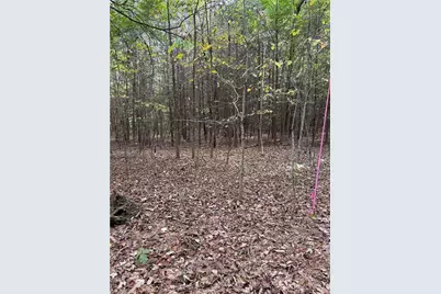 Lot 3 Ruff Hollar Drive, East Bend, NC 27018 - Photo 5