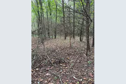 Lot 3 Ruff Hollar Drive, East Bend, NC 27018 - Photo 3