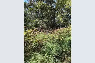 Lot 3 Ruff Hollar Drive, East Bend, NC 27018 - Photo 9