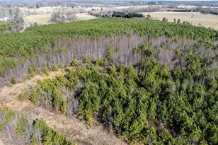 1100 Ben Smith Rd, Siler City, NC 27344 - Photo 13