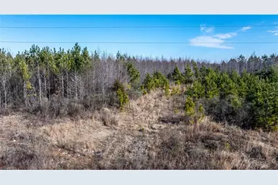 1100 Ben Smith Road, Siler City, NC 27344 - Photo 11