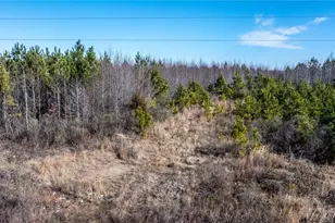 1100 Ben Smith Rd, Siler City, NC 27344 - Photo 11