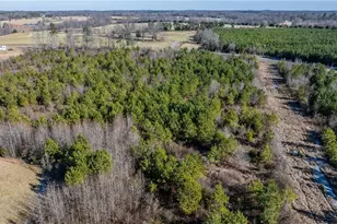 1100 Ben Smith Rd, Siler City, NC 27344 - Photo 35