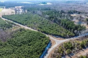 1100 Ben Smith Rd, Siler City, NC 27344 - Photo 43