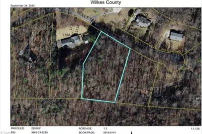 Tbd Holly Tree Drive, Wilkesboro, NC 28697 - Photo 5