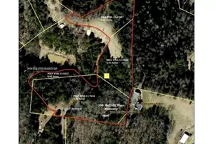 198 Ball Hl Pl, Marshall, NC 28753 - Photo 43