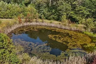 2385 Clacie Ln, Liberty, NC 27298 - Photo 7