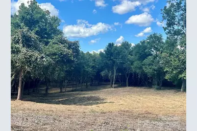 2095 Hatties Way, Hamptonville, NC 27020 - Photo 11