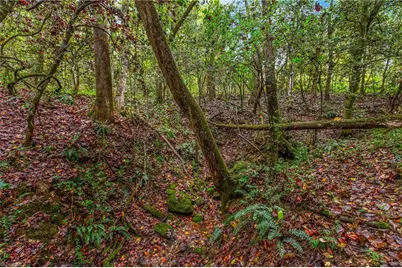 752 Joe Layne Mill Road, Elkin, NC 28621 - Photo 35