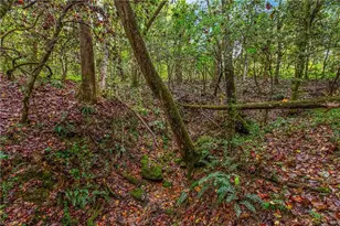 752 Joe Layne Mill Rd, Elkin, NC 28621 - Photo 35