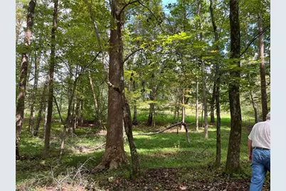 0 Mae Kennedy Road, Thomasville, NC 27360 - Photo 3