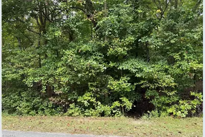 00 Redbud Lane, Randleman, NC 27317 - Photo 5