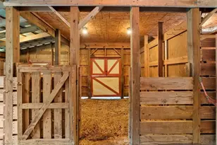 6770 Brookbank Rd, Summerfield, NC 27358 - Photo 31