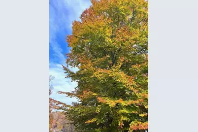 1109 Westridge Road, Greensboro, NC 27410 - Photo 49