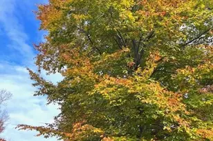 1109 Westridge Rd, Greensboro, NC 27410 - Photo 49