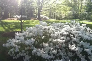 1109 Westridge Rd, Greensboro, NC 27410 - Photo 43