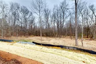 108 Sprucewood Ct, Archdale, NC 27263 - Photo 19