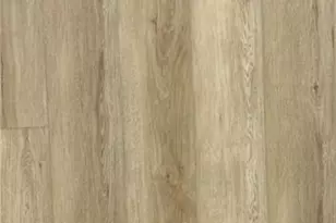 108 Sprucewood Ct, Archdale, NC 27263 - Photo 27