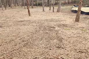 108 Sprucewood Ct, Archdale, NC 27263 - Photo 7