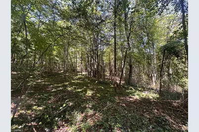 153 Pineway Lane, Thurmond, NC 28683 - Photo 5