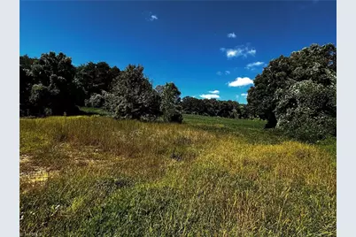 1065 Reid Road, King, NC 27021 - Photo 3