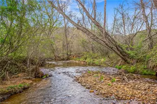 1305 Brim Rd, Mount Airy, NC 27030 - Photo 35