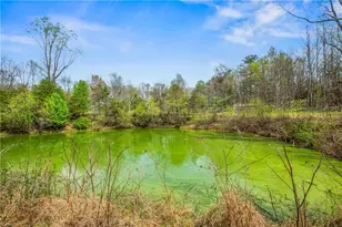 1305 Brim Rd, Mount Airy, NC 27030 - Photo 33