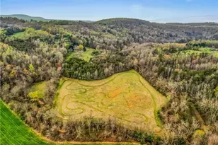 1305 Brim Rd, Mount Airy, NC 27030 - Photo 37