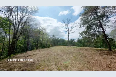 1580 Seven Island Road, Danbury, NC 27016 - Photo 29