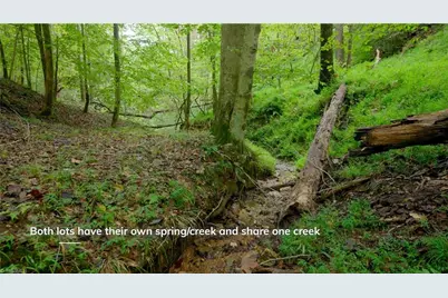 1580 Seven Island Road, Danbury, NC 27016 - Photo 11