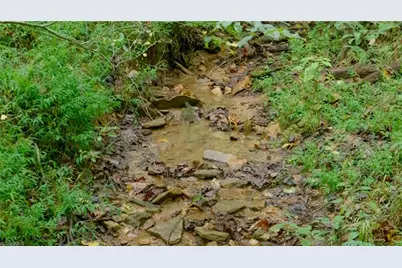 1582 Seven Island Road, Danbury, NC 27016 - Photo 15