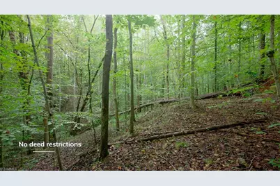 1582 Seven Island Road, Danbury, NC 27016 - Photo 23