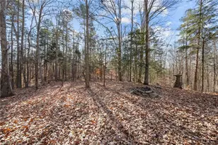 2102 Pleasant Union Rd, Denton, NC 27239 - Photo 33