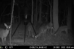 2102 Pleasant Union Rd, Denton, NC 27239 - Photo 43