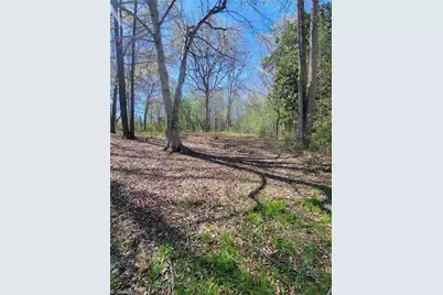 4650 Huntingwood Road, Ramseur, NC 27316 - Photo 3