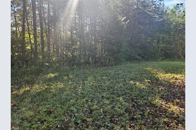 0 Dodgetown Road, Walnut Cove, NC 27052 - Photo 3