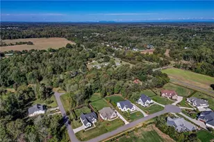 603 Kimpton court, Greensboro, NC 27455 - Photo 43