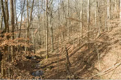 000 E Brocktown Road, Moravian Falls, NC 28654 - Photo 13